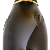 Montesel Extra Dry Prosecco