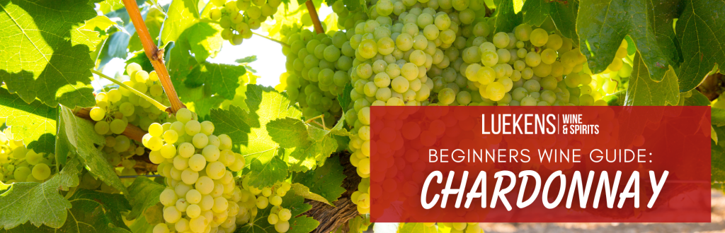 Beginners Wine Guide Chardonnay Header