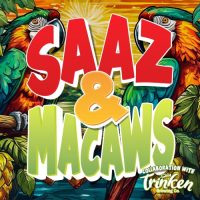 Tampa Bay Brewing Saaz & Macaws Pilsner 16oz 4pk Cn